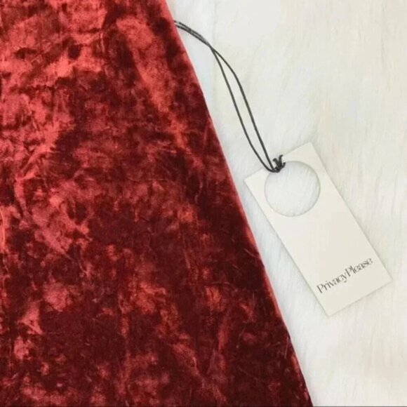 Revolve Privacy Please Raymore velvet Mini Dress Crushed Red Rust Size Small - Picture 10 of 16